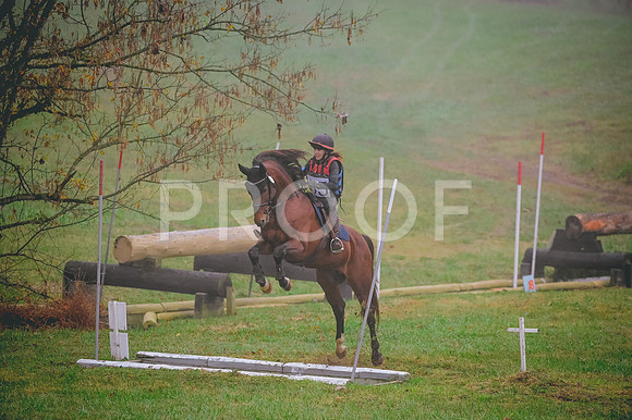 DSC_6420