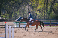 DSC_6604