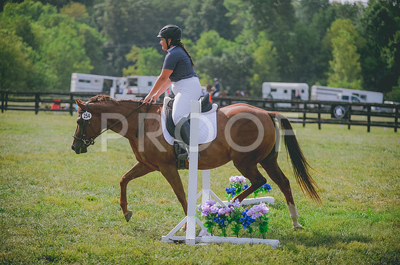 JJS_4971