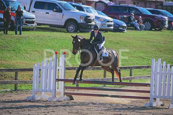DSC_0920