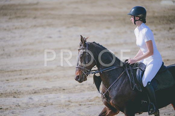 JJS_4993