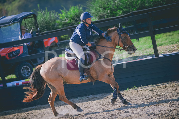 JJS_7355A