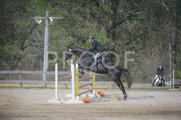 JJS_1319