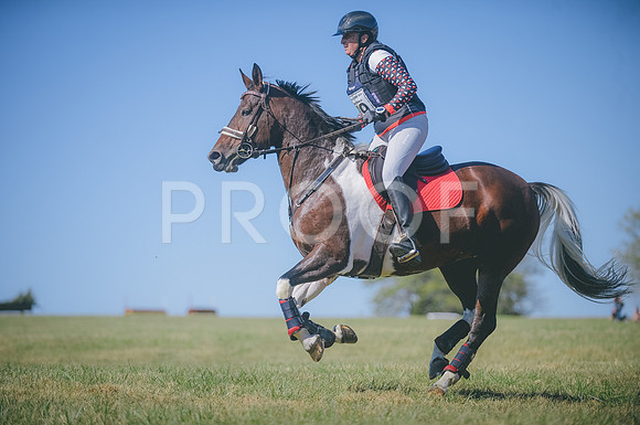 JJS_8201