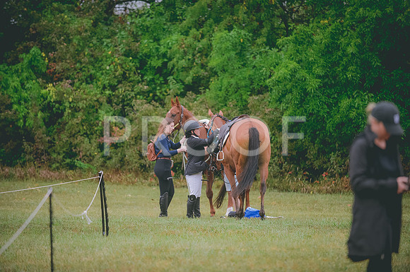 JJS_0231