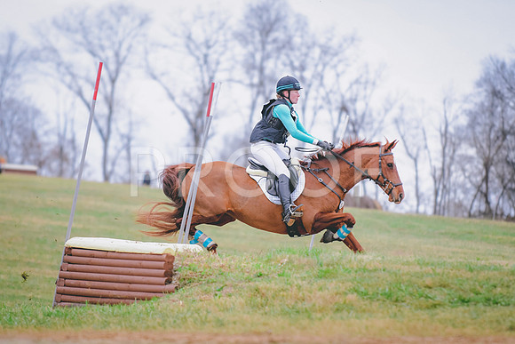 DSC_4355
