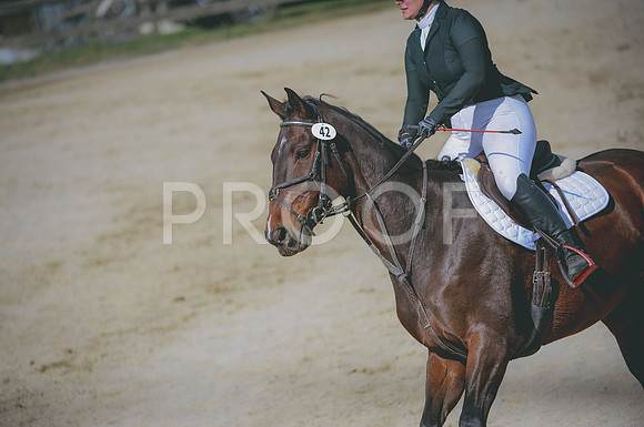 JJS_2221