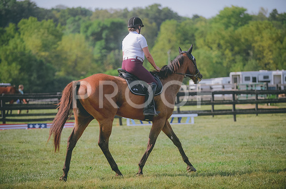 JJS_3465