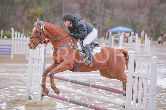 MEL_5363