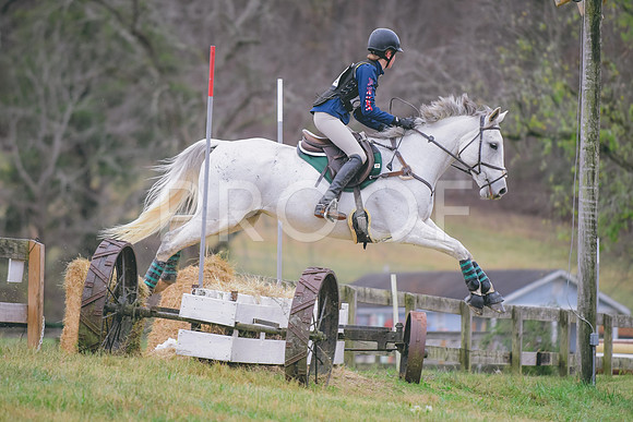DSC_4303