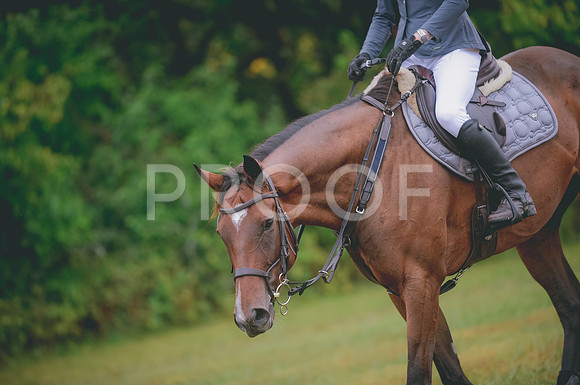 JJS_0955