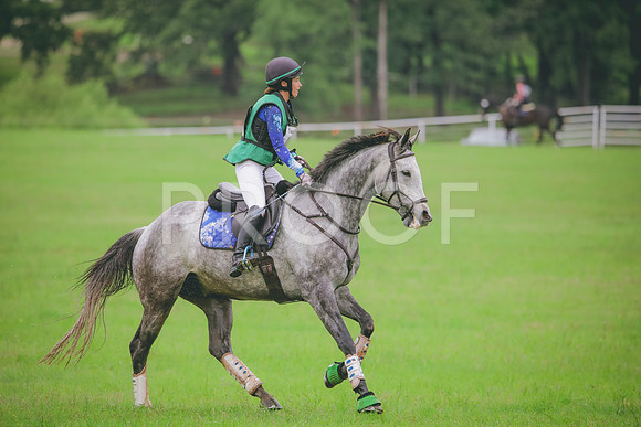 RWP_5348