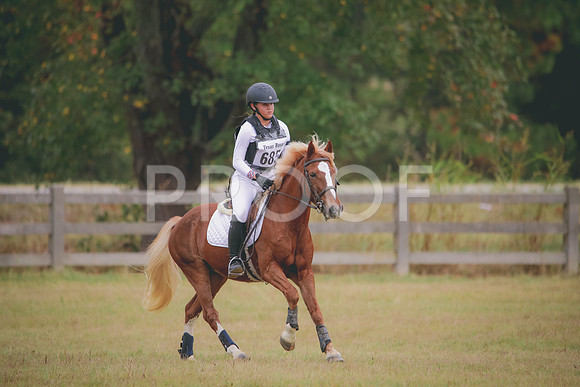 RWP_3585
