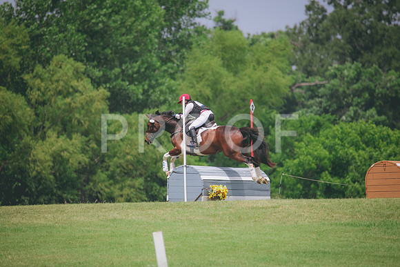 RWP_2070