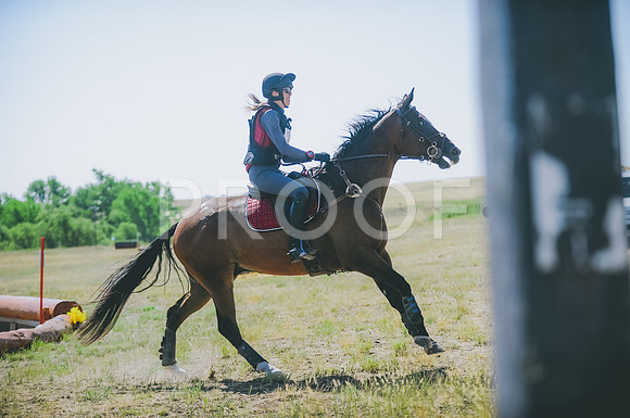 JJS_0860