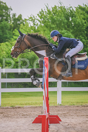 DSC_6537 copy