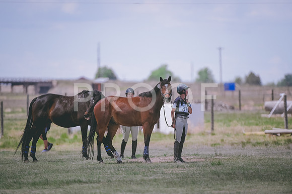 DSC_7080A