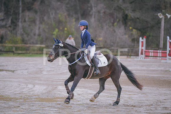 MEL_7393