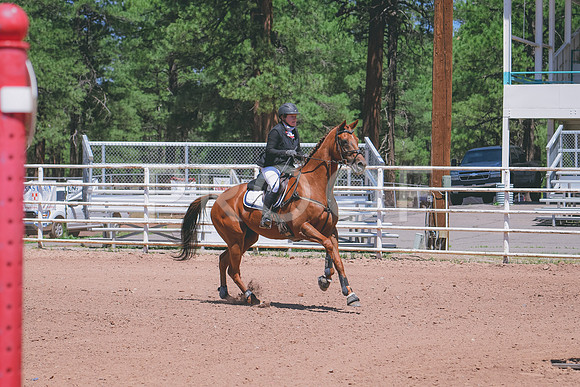 DSC_4831A
