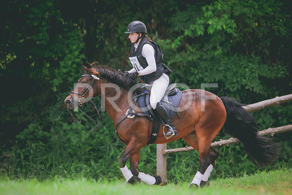 RWP_4905