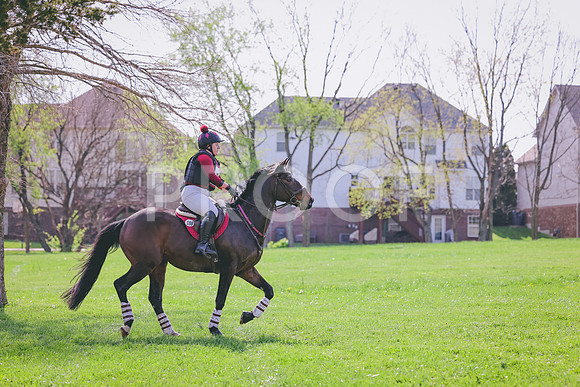 AJ6A7416