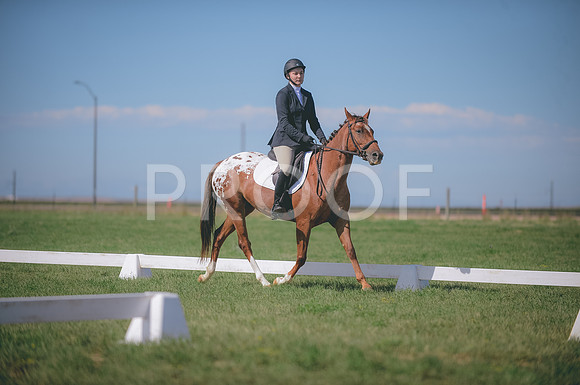JJS_2147
