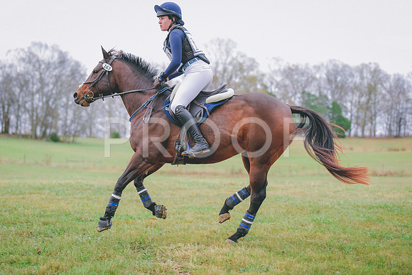 MEL_3629