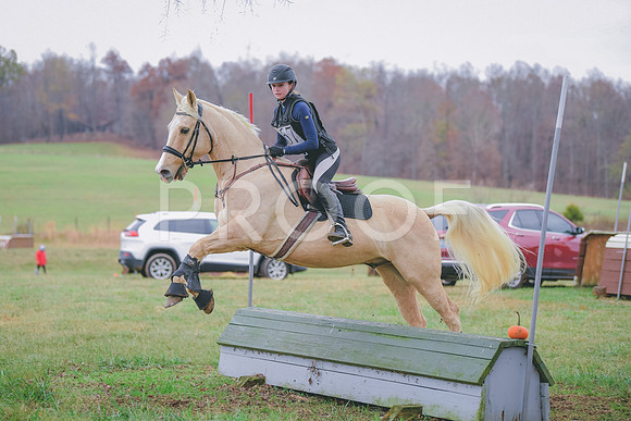 MEL_3764
