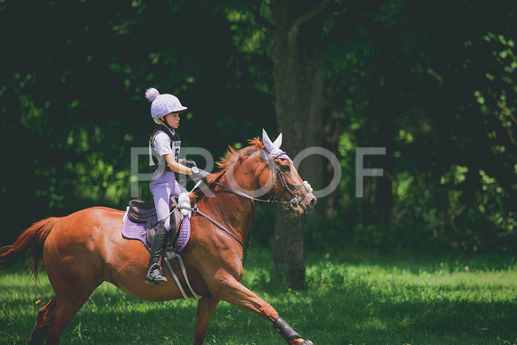 RWP_3727