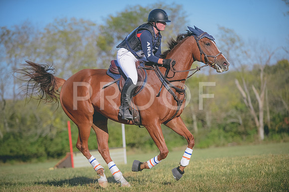 JJS_1612