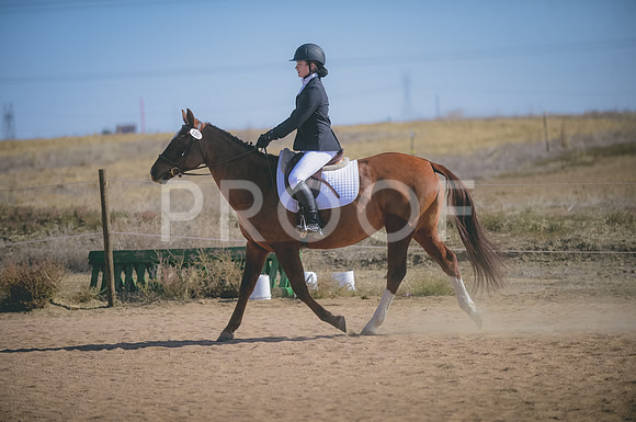 JJS_6607