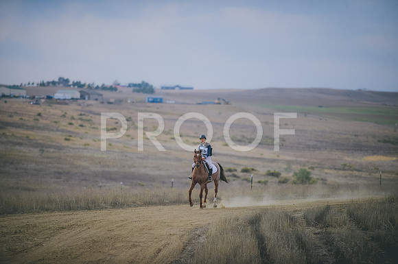 JJS_2944