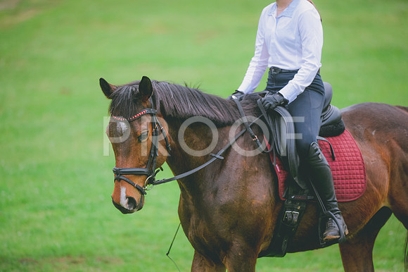 JJS_2920