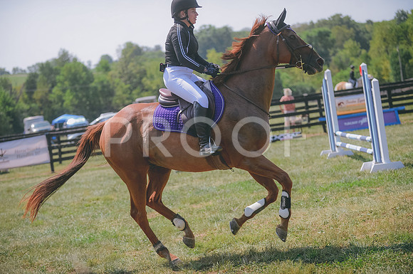 JJS_2441