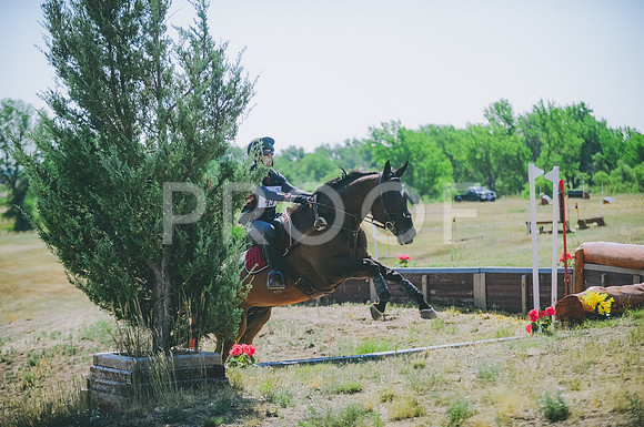 JJS_0849