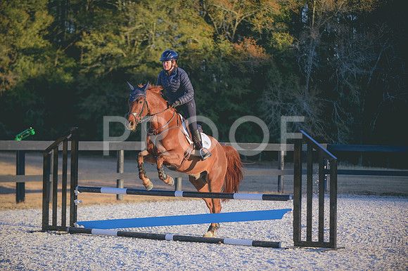 JJS_2911