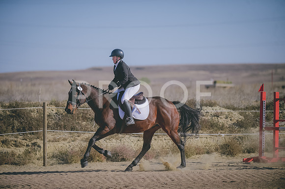 JJS_1269