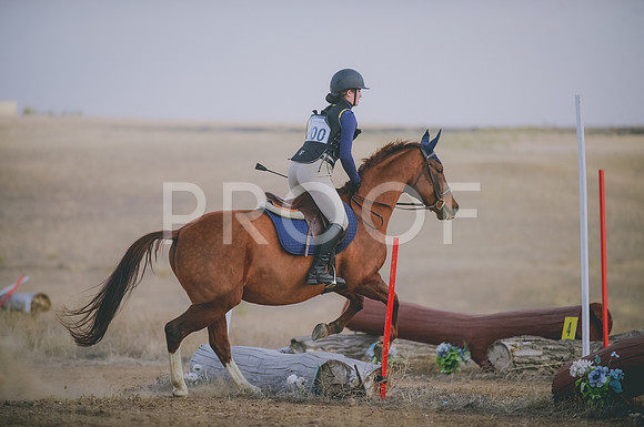 JJS_6278