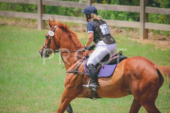 RWP_4739