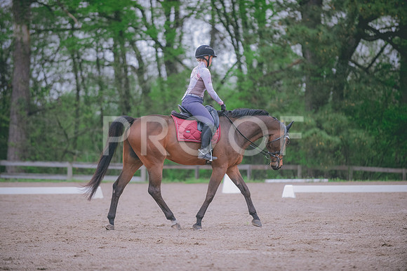 JJS_4619