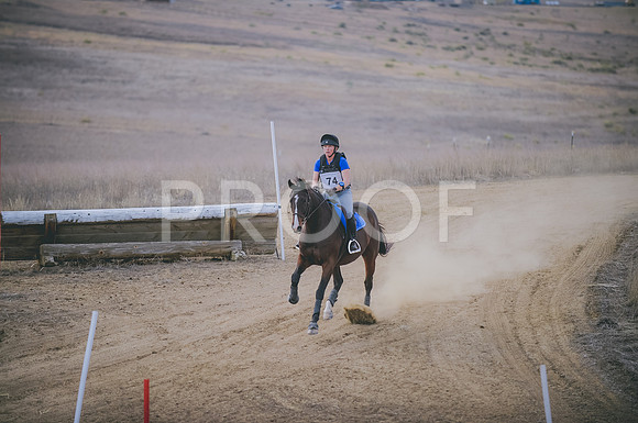 JJS_2219A