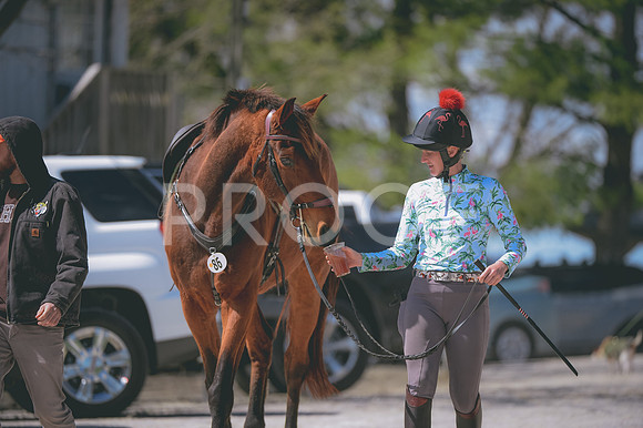 JJS_7066