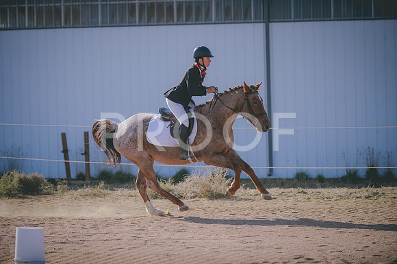 JJS_1362