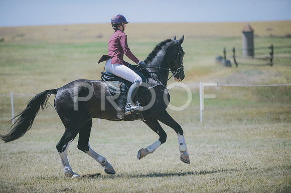 JJS_8505