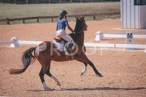 RWP_1119