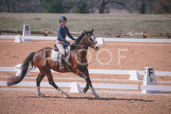 RWP_1113