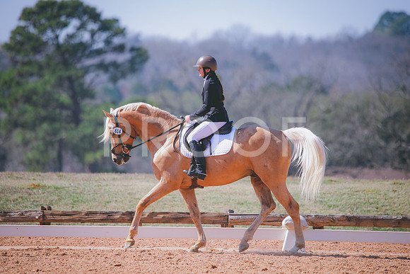 RWP_1484