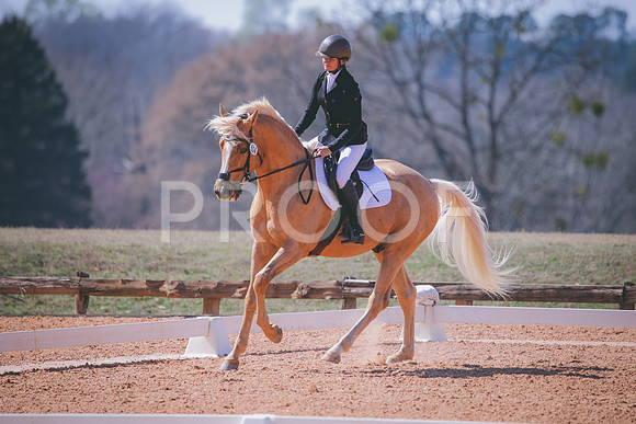 RWP_1490
