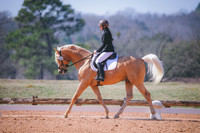 RWP_1485
