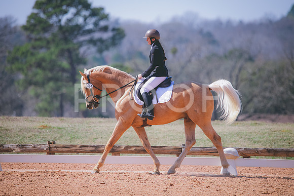 RWP_1485
